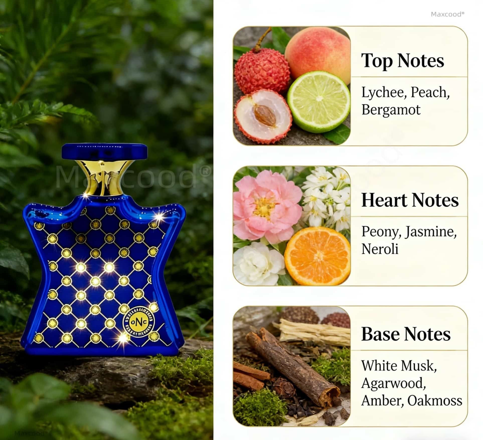 Citrus- en bloemige parfums La - Perfume Floral Fragrance recensie en prijs